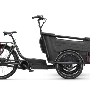 Batavus Fier 3 2025