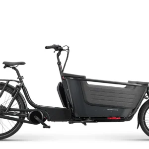 Batavus Fier 2 2025