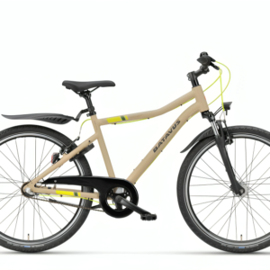 Batavus Booster 26 Inch 2025