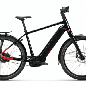 Koga Pace B10 2024